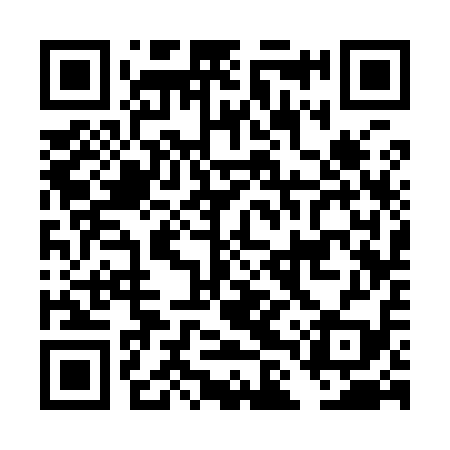 QR code for DLS919