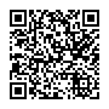 QR code for DLS959