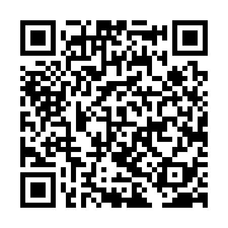 QR code for DLT339