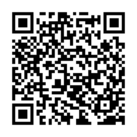 QR code for DLU307