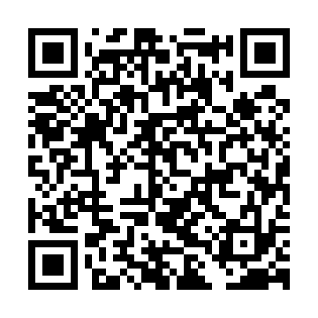 QR code for DLU533
