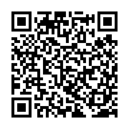 QR code for DLU641