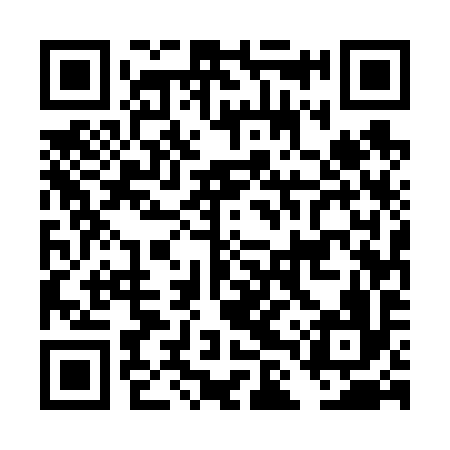 QR code for DLU696