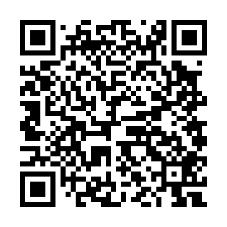 QR code for DLV009
