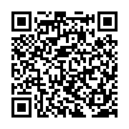 QR code for DLV234