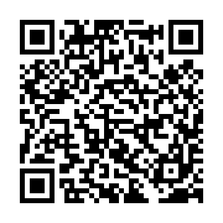 QR code for DLV497