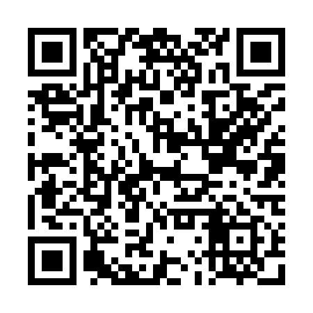 QR code for DLV919