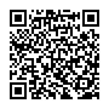 QR code for DLX308