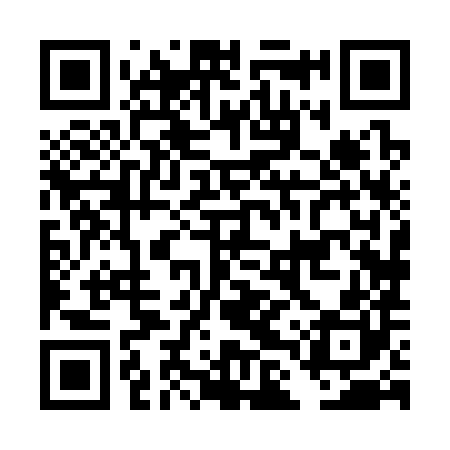 QR code for DLX380