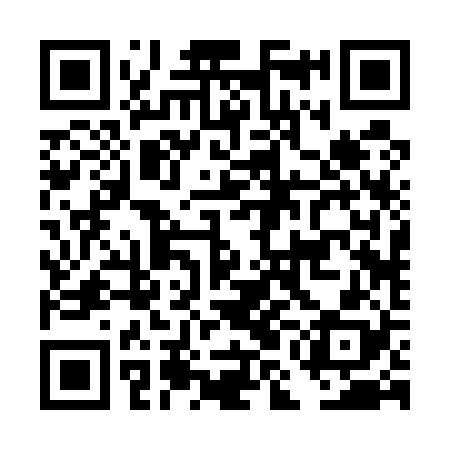 QR code for DMB528