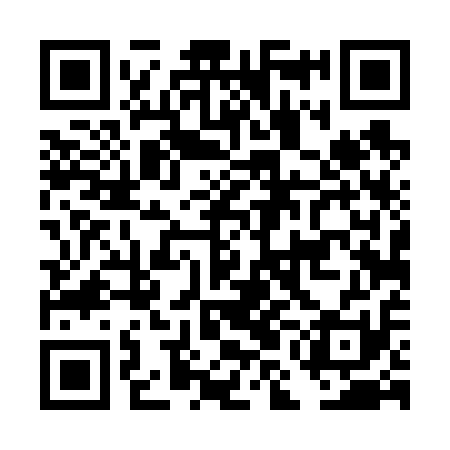 QR code for DMD611