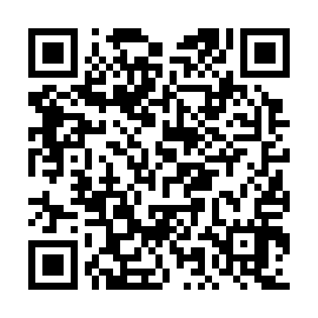 QR code for DMF317