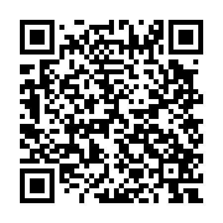 QR code for DMG007