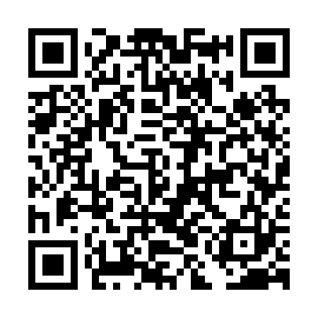 QR code for DMG223