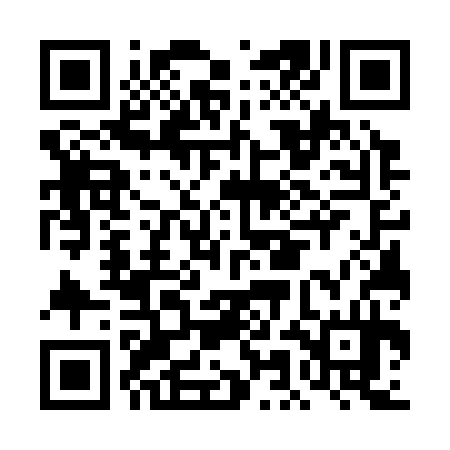 QR code for DMG334