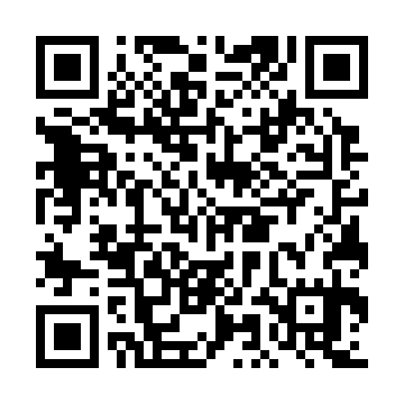 QR code for DMG335