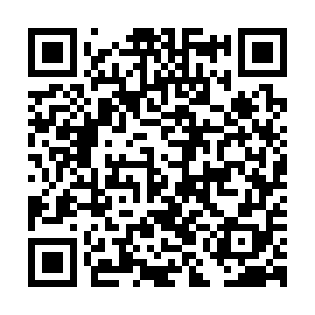QR code for DMG358