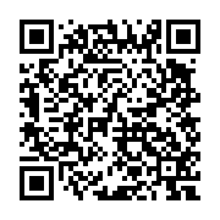 QR code for DMG413