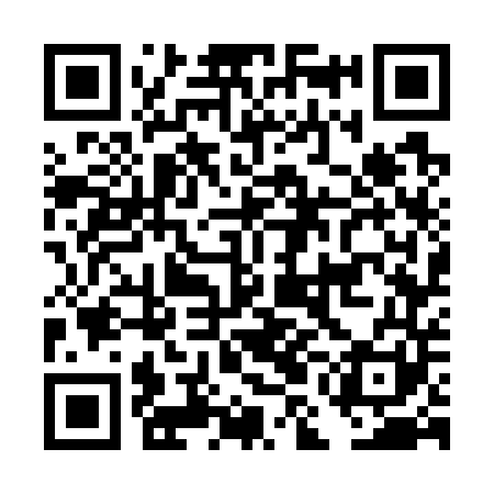 QR code for DMG741