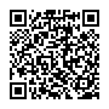 QR code for DMI001