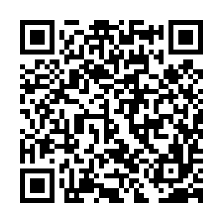 QR code for DMI496