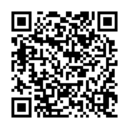 QR code for DML306