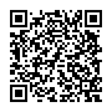 QR code for DML411