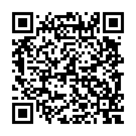 QR code for DML497