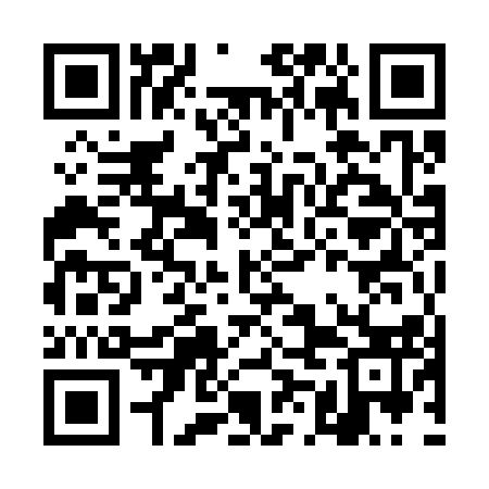 QR code for DMM313