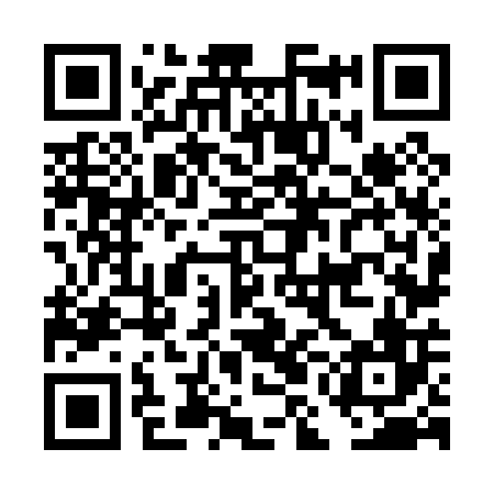 QR code for DMN006