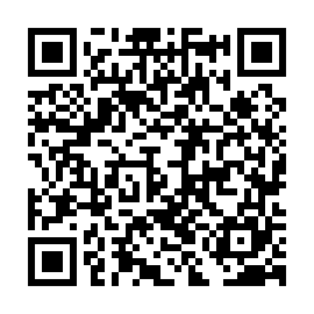 QR code for DMN165