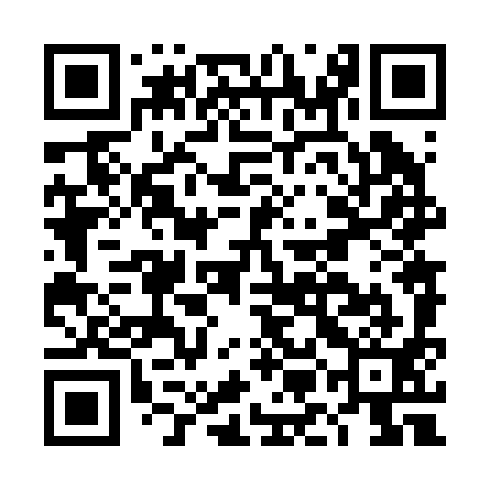 QR code for DMN291