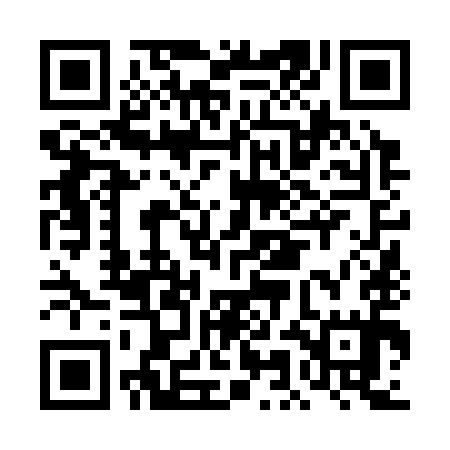 QR code for DMN395