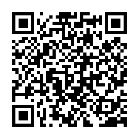 QR code for DMN439