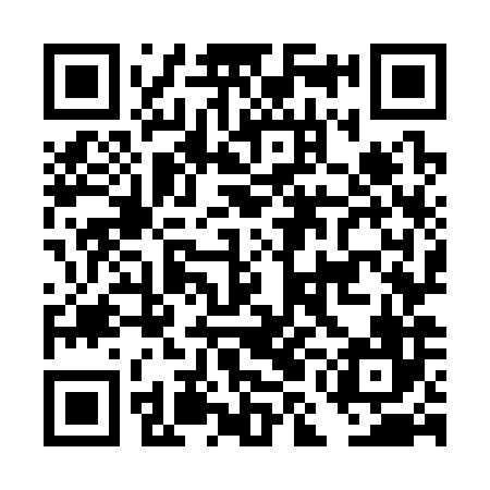 QR code for DMO386