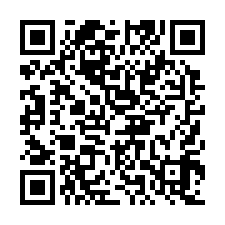QR code for DMP319
