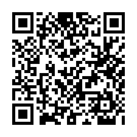 QR code for DMQ597