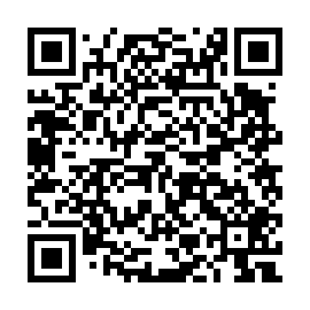 QR code for DMR409
