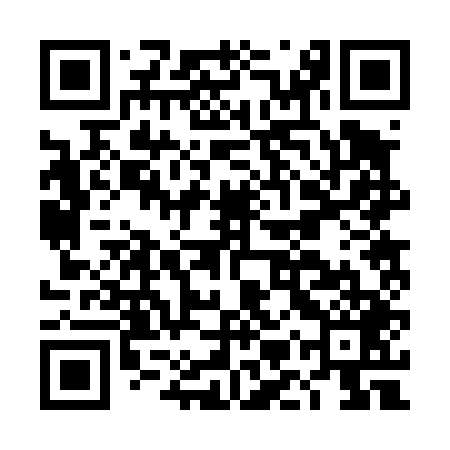 QR code for DMR449