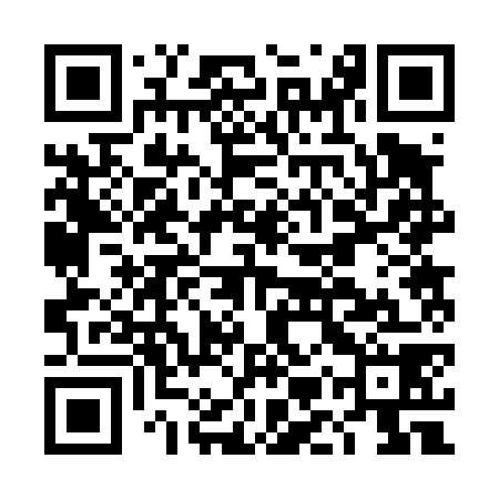 QR code for DMR478