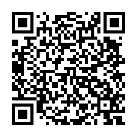 QR code for DMS417