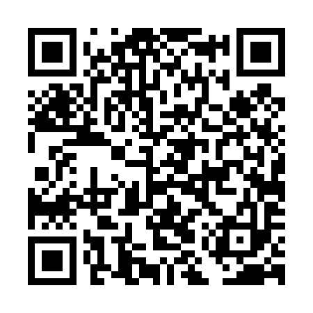 QR code for DMT493