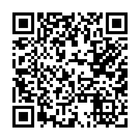 QR code for DMU381