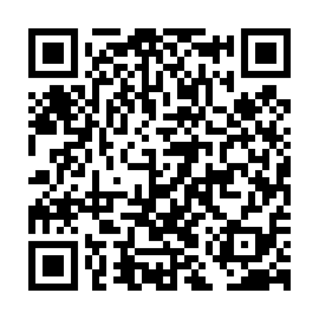 QR code for DMU419