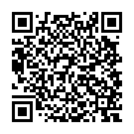 QR code for DMV041