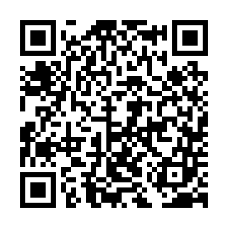QR code for DMV243