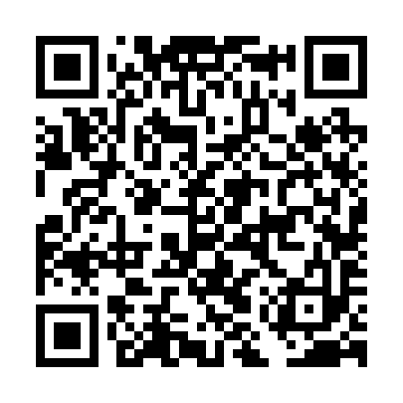 QR code for DMV293