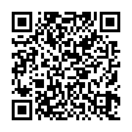 QR code for DMY729