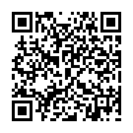QR code for DMZ096