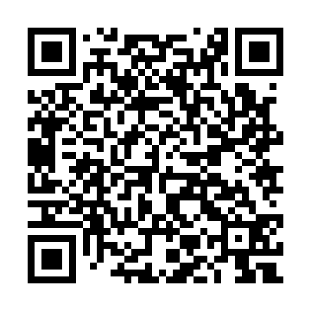 QR code for DMZ132